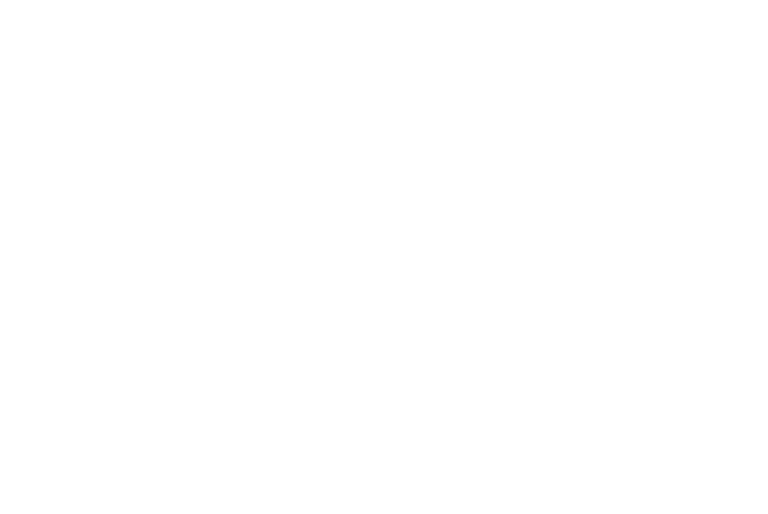 Two Hands Logo